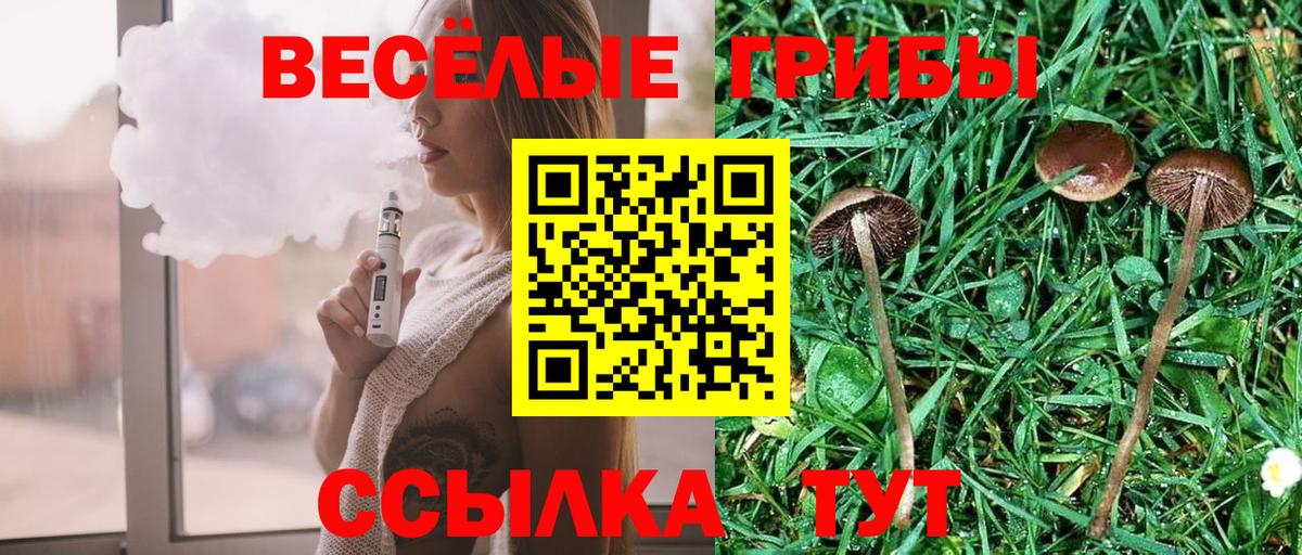 Псилоцибиновые грибы Psilocybe  Псилоцибиновые грибы Psilocybine cubensis  Вход с VPN  Всеволожск 
