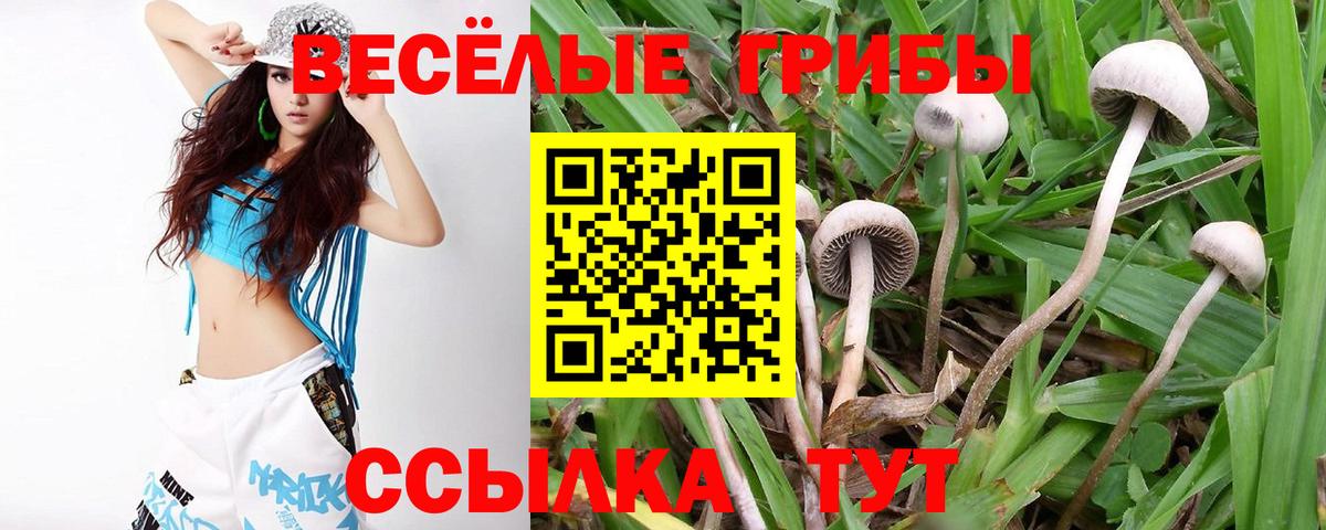 Псилоцибиновые грибы ЛСД Всеволожск